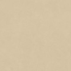 Pavimento in gres porcellanato Atlas Concorde BOOST NATURAL PRO 120 X 120 cm