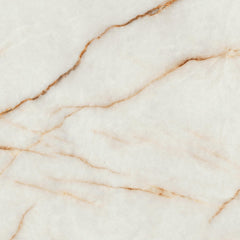 Pavimento in gres porcellanato  Atlas Concorde MARVEL DIVA 120 x 120 VELVET