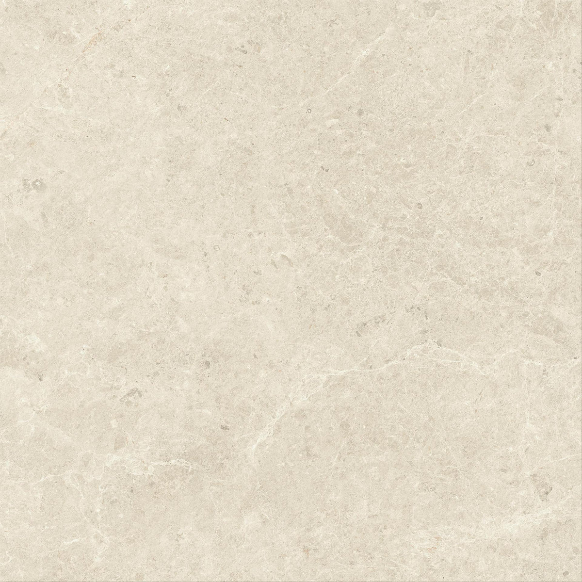Pavimento in gres porcellanato Atlas Concorde NYRA Matt Sensitech 120 x 120 cm