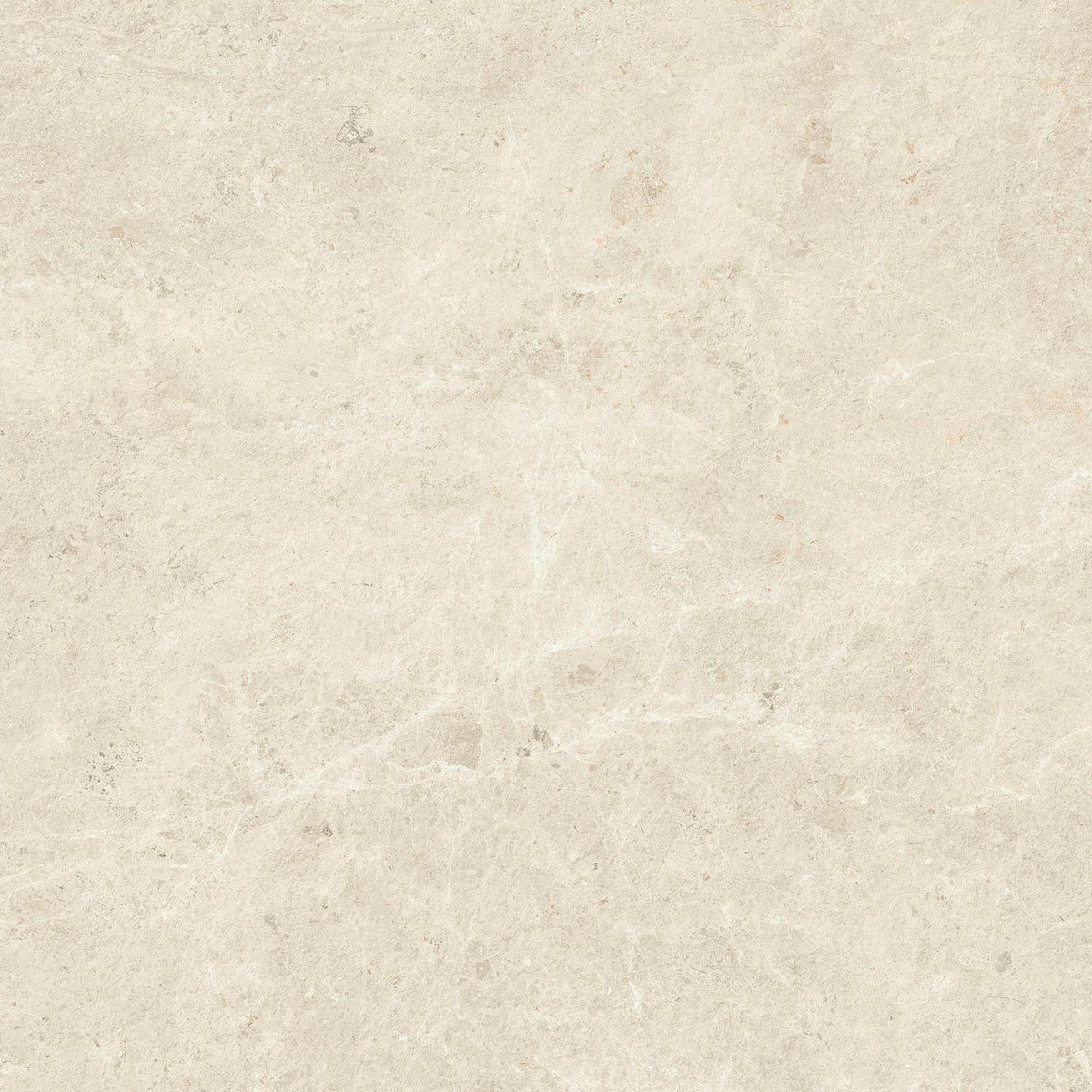 Pavimento in gre porcellanato Atlas Concorde NYRA Matt Sensitech 80 x 80 cm
