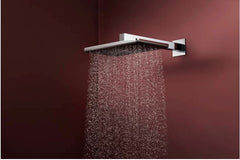 Soffione doccia Hansgrohe  RAINDANCE ALIVE Q 1 jet