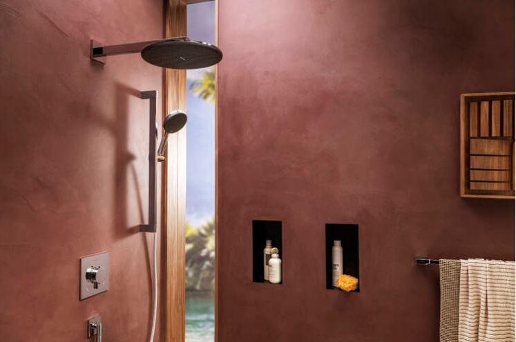 RAINDANCE ALIVE S Hansgrohe  soffione doccia 300 1jet